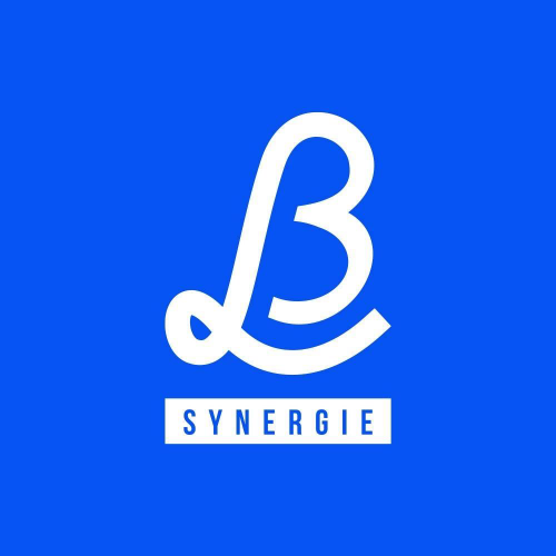 logo L&B Synergie