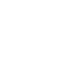 Money Icon